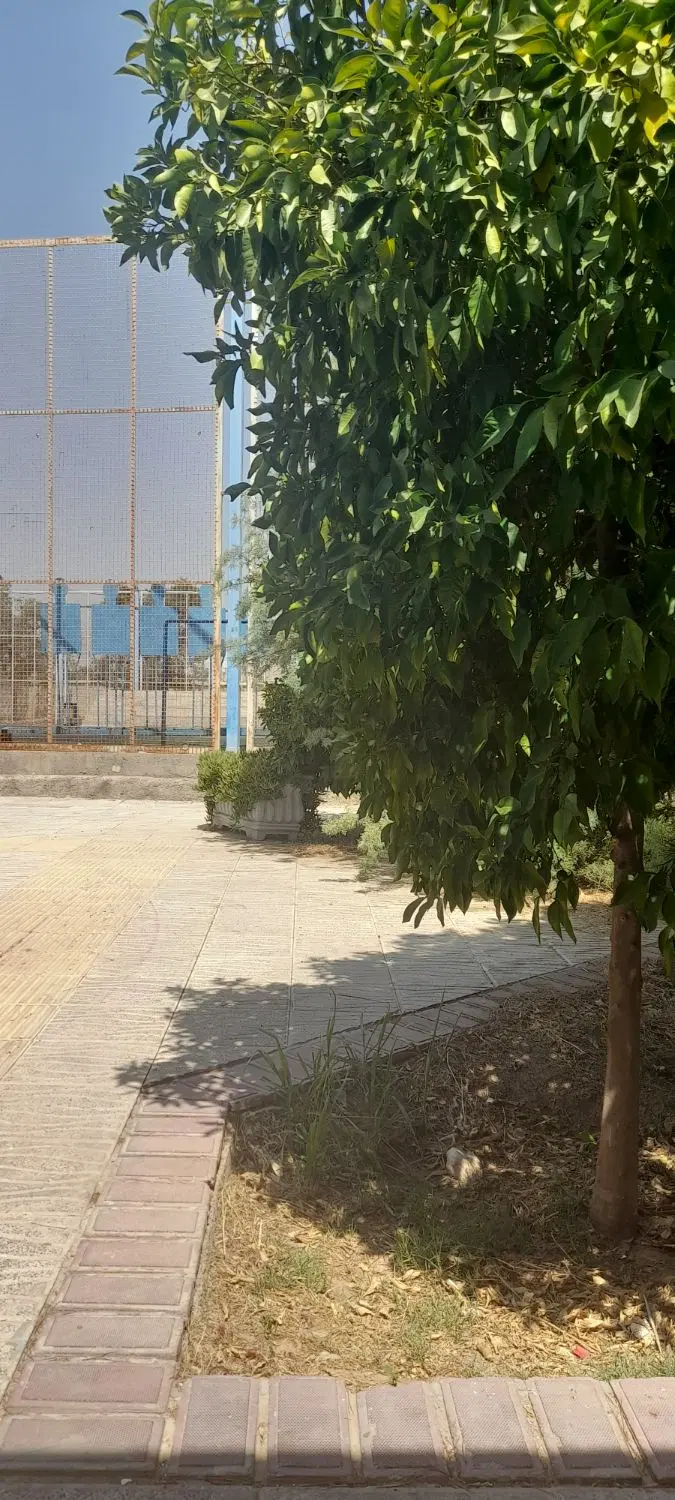 مغازه مناسب