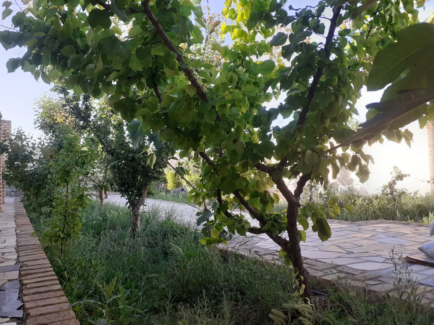 فروش باغ۳۰۰متری تکمیل