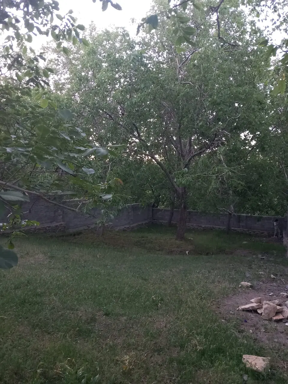 باغ فروشی نرسیده به روستای ابرو 400متری