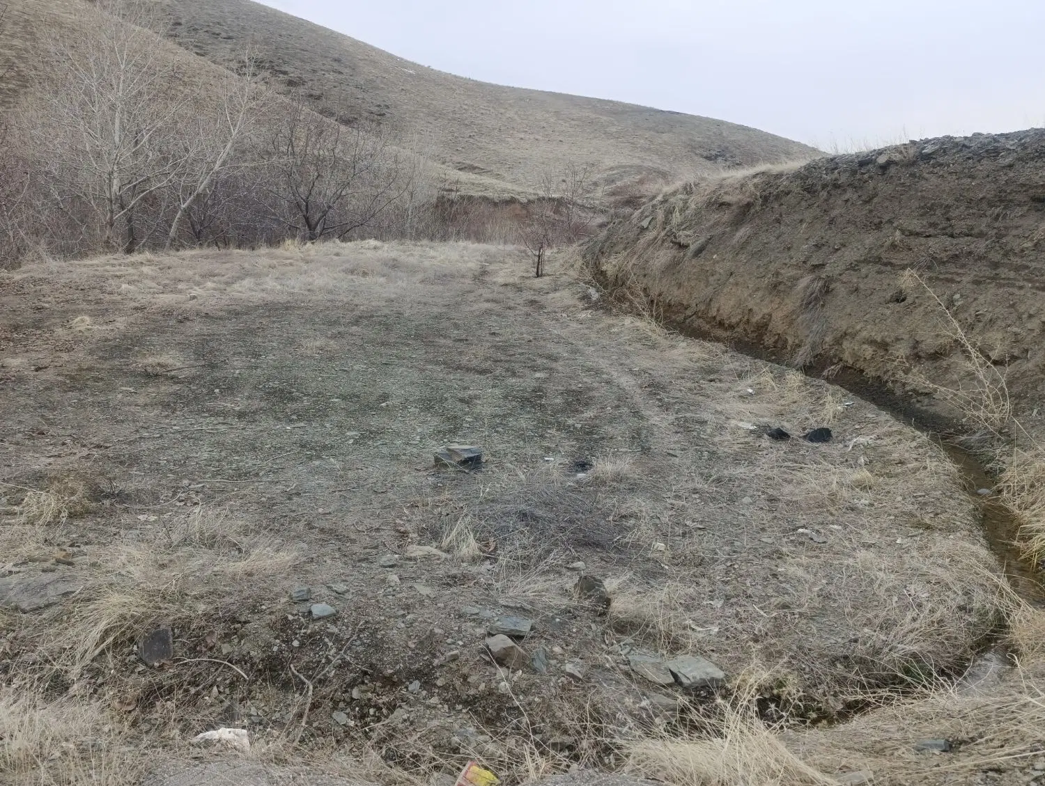 زمین باغی