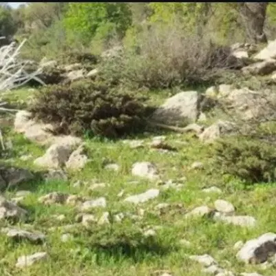 فروش زمین نقلی شهرک بهار