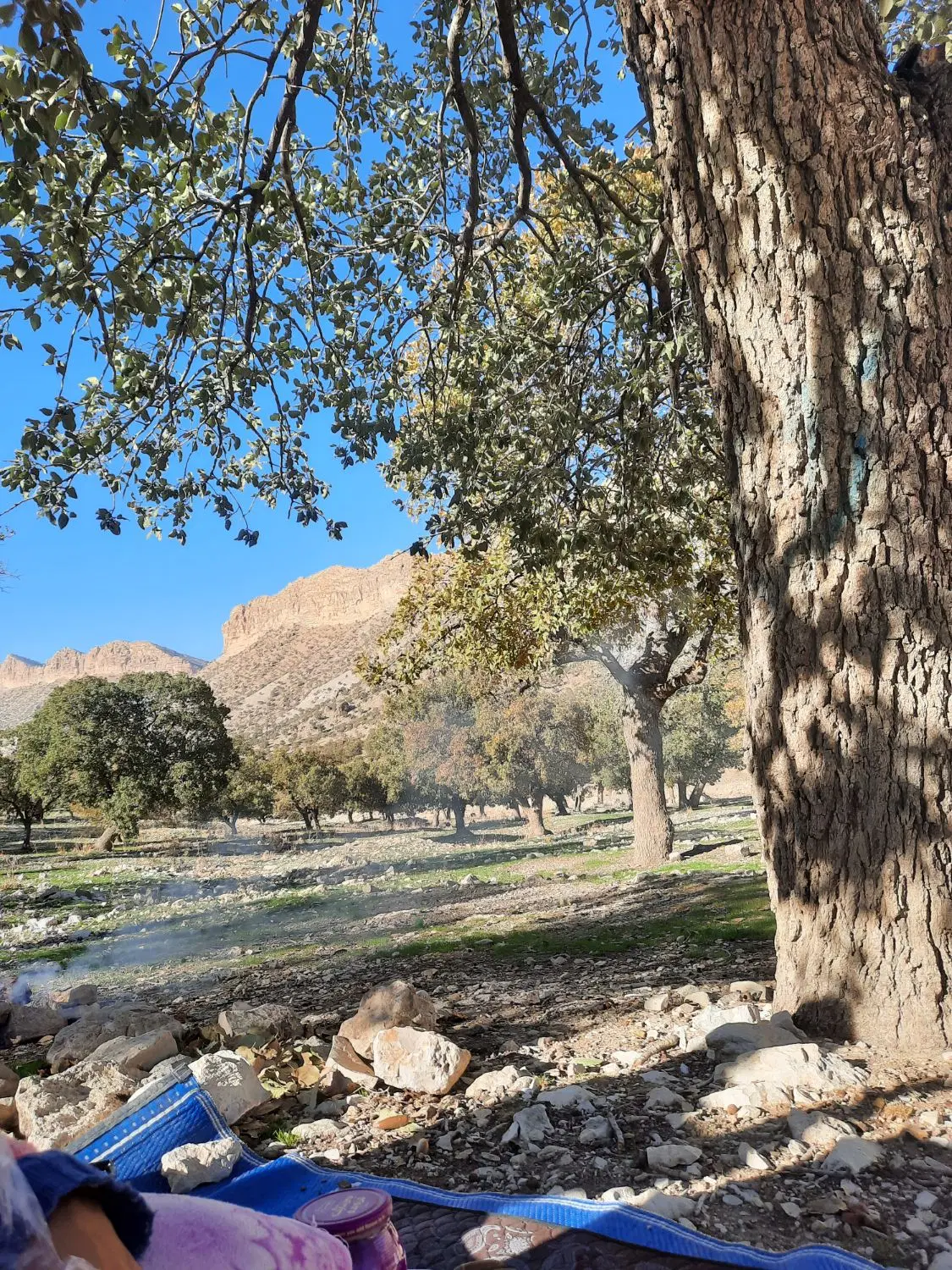 زمین زراعی قابلیت خانه باغ و ویلا سراب ایوان