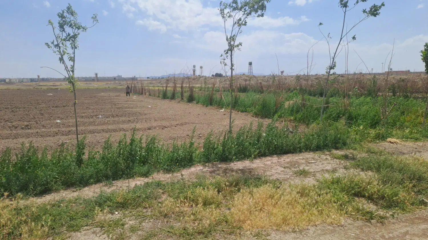 زمین باغ و باغچه