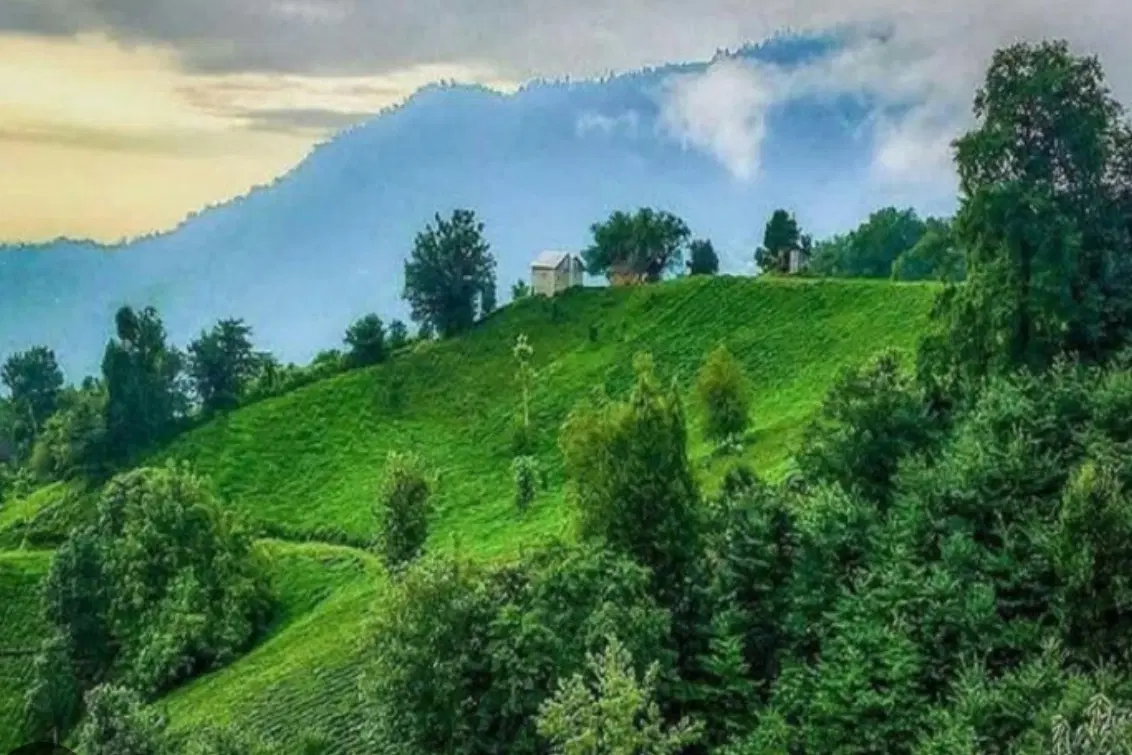 زمین مسکونی املش گیلان