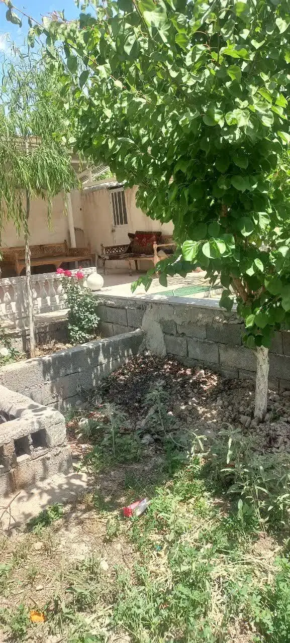 باغ