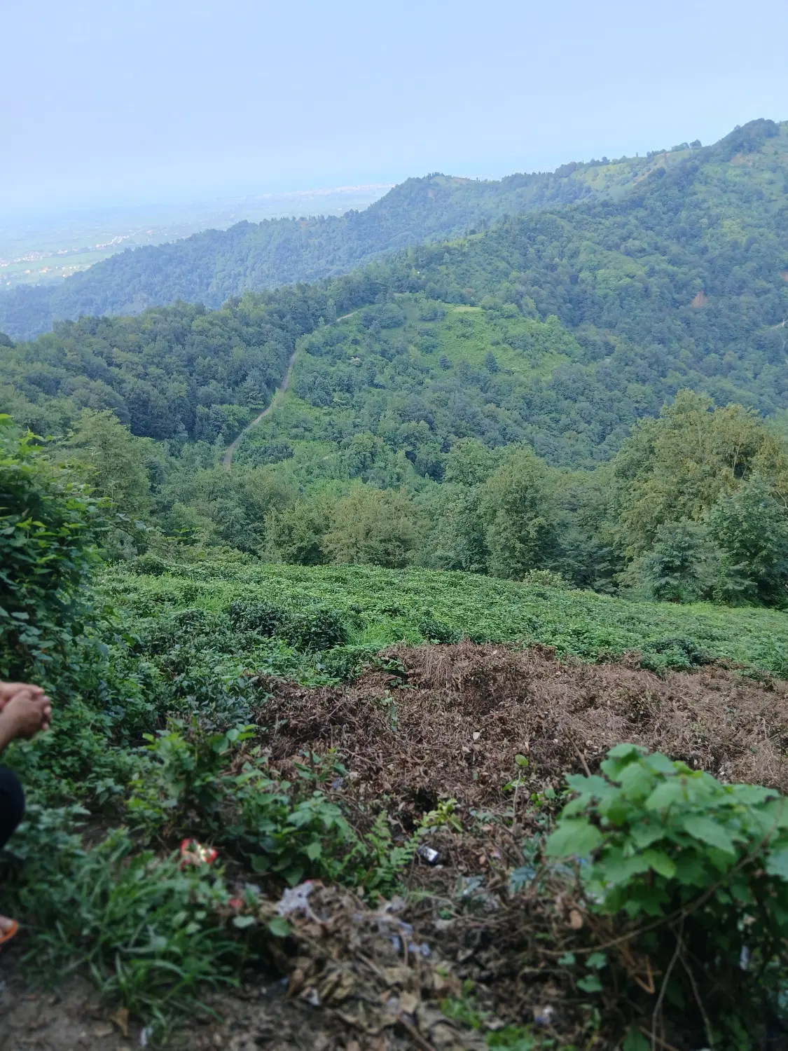 زمین ۴۰۰۰ متر خواست