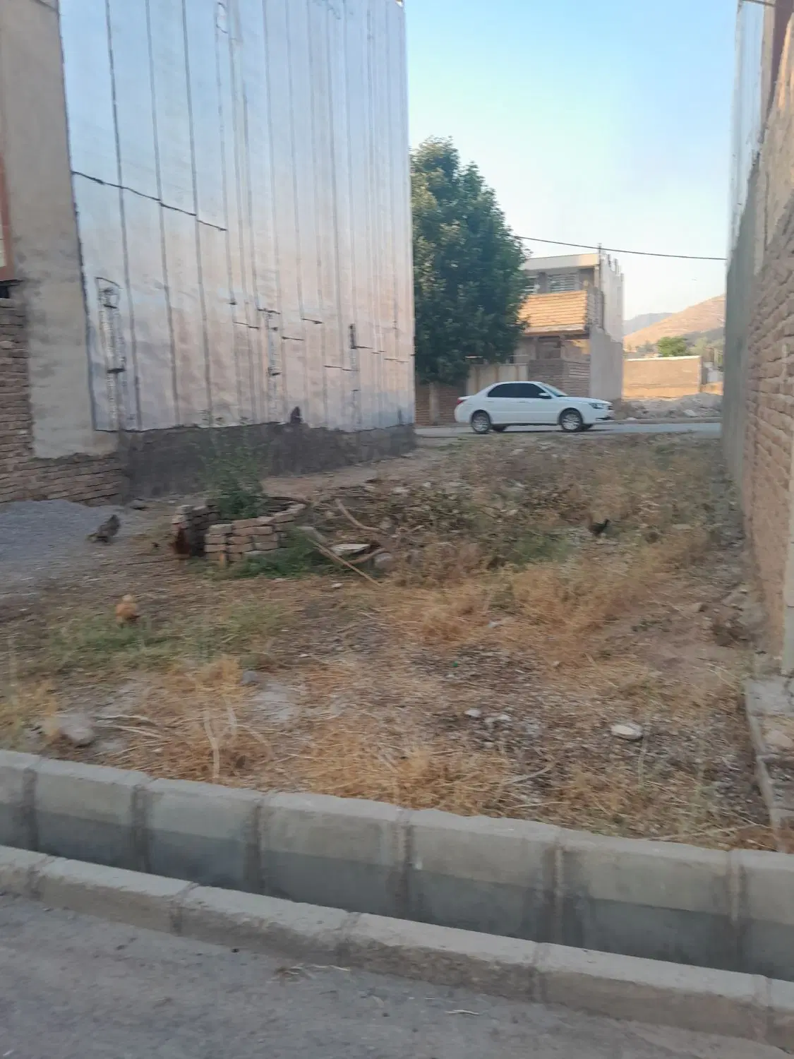 زمین پوشاک گلستان ۱۲