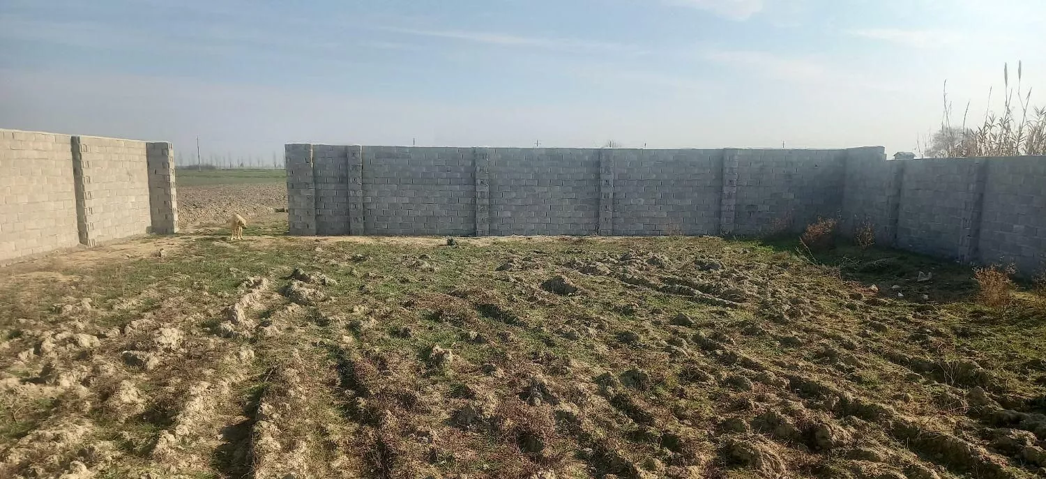 فروش زمین ۵۰۰ متری روستای هاشم آباد