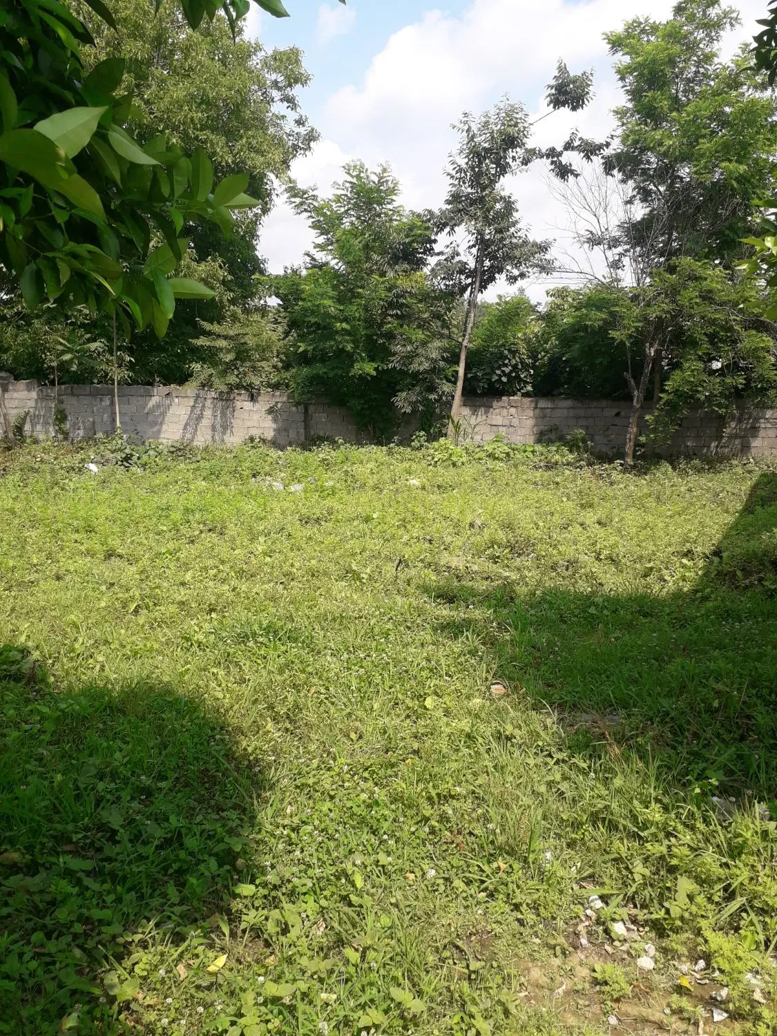 زمین به مساحت ۳۳۰ متر با پروانه ساخت