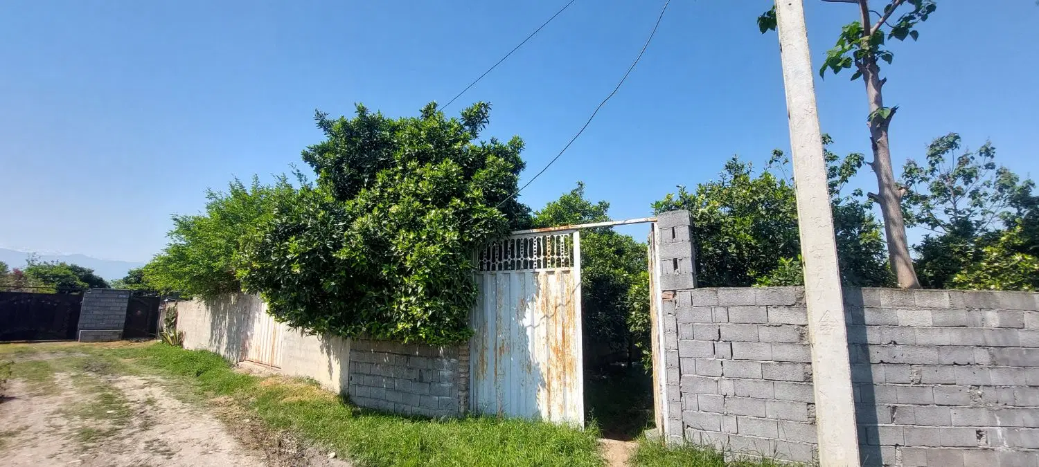 فروش زمین ۴۰۰ متری باغی در بندپی بابل