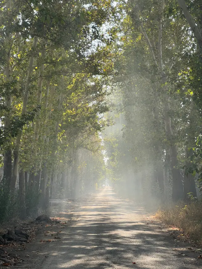 زمین شهرکی موقعیت تکرار نشدنی