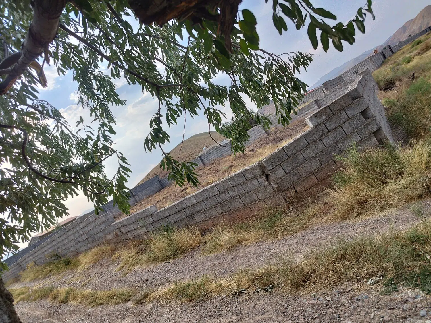زمین باغی