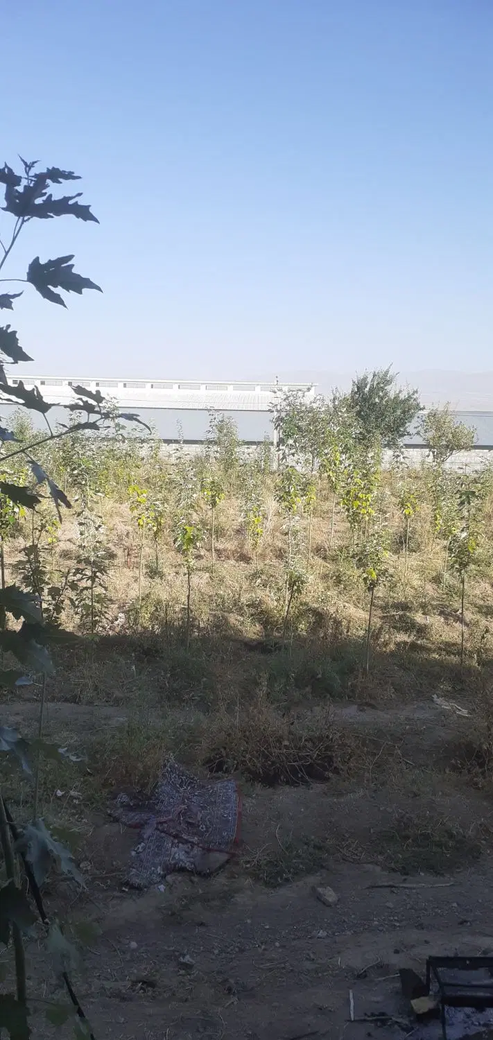 فروش زمین باحق اب روبروی کارخانه سراب بافت