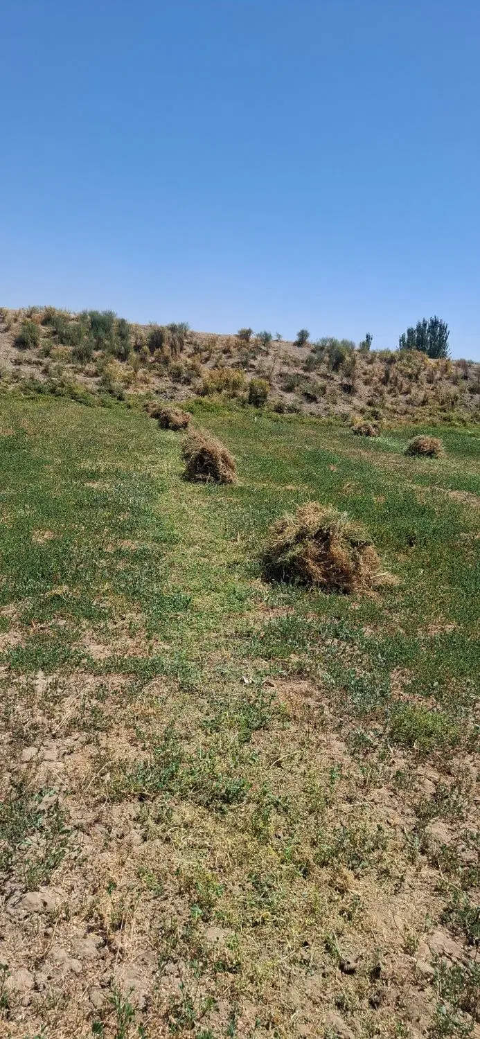 زمین کشاورزی مناسب خانه باغ