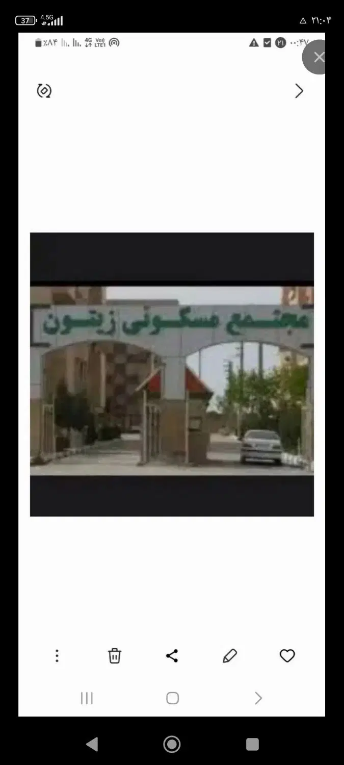 مجتمع‌زیتون