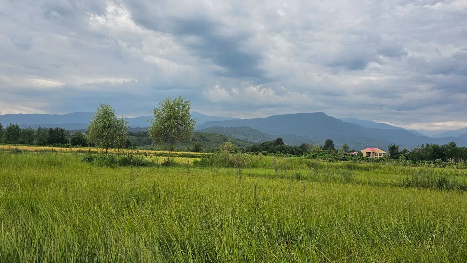 زمین