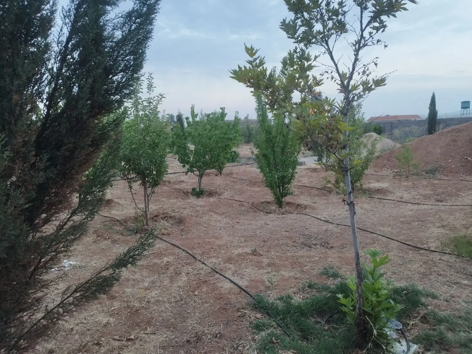 باغ شهری کودیان
