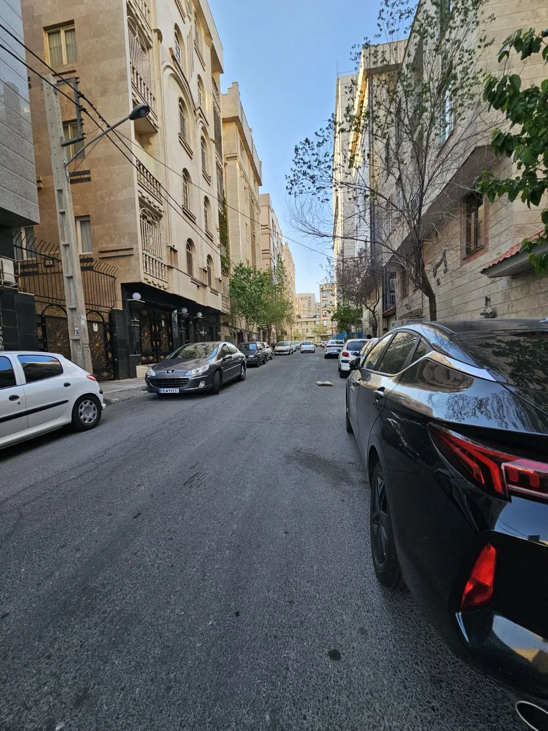 هاشمی ۵۵ متر فول