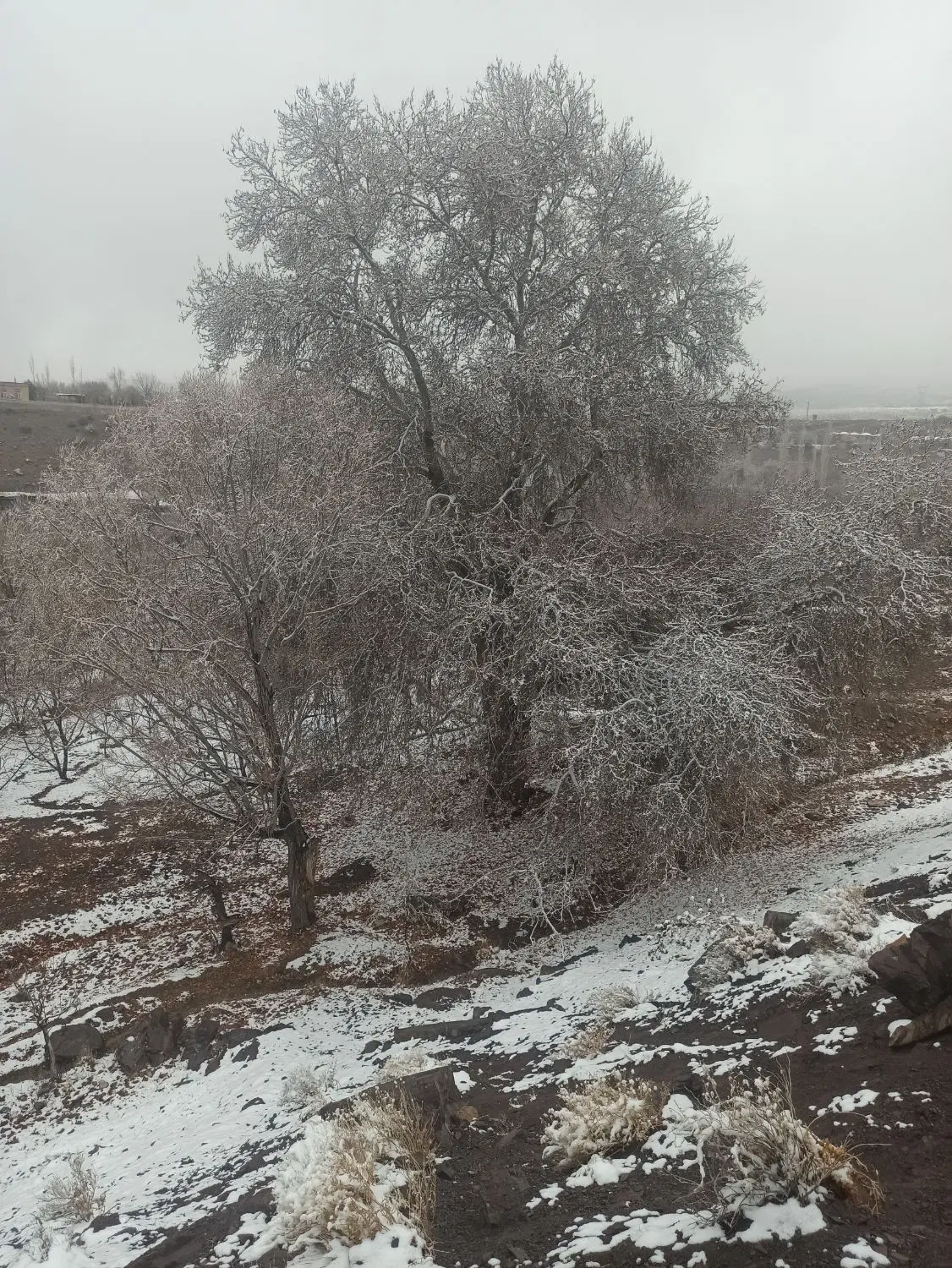 زمین فروشی