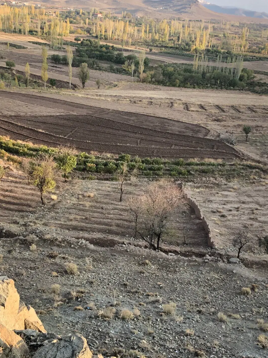 فروش زمین کشاورزی درپاکمر