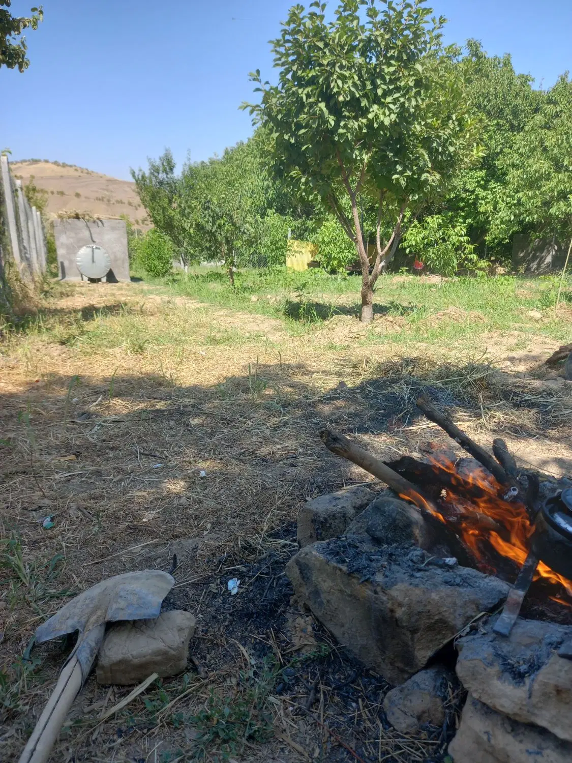زمین کشاورزی حسن اباد