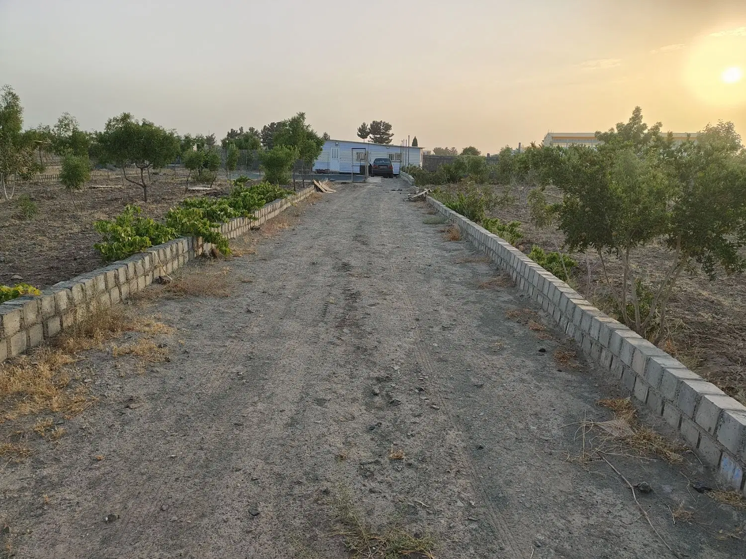باغ شمس آباد بیرجند