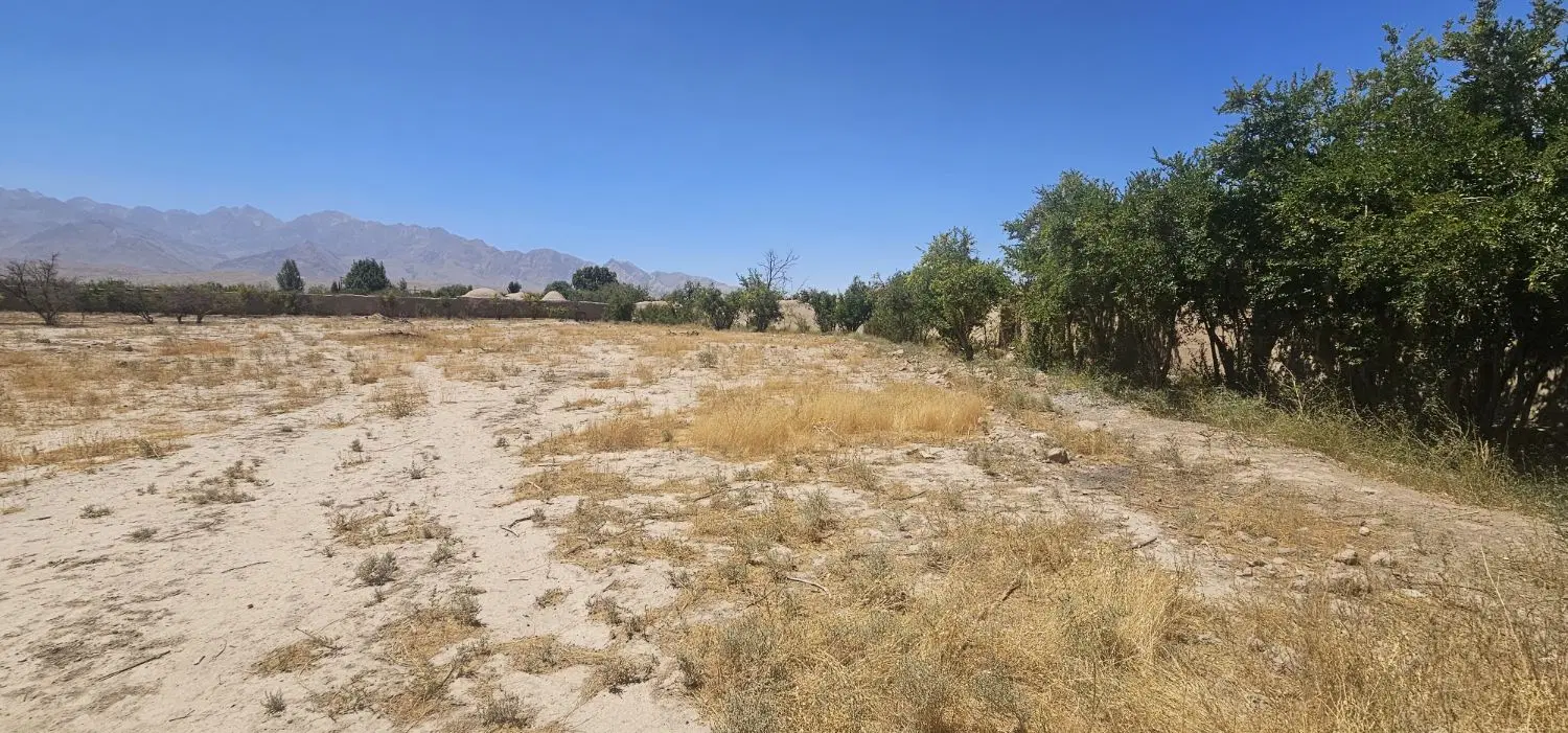 9500 متر زمین باغی با پروانه در لنگر