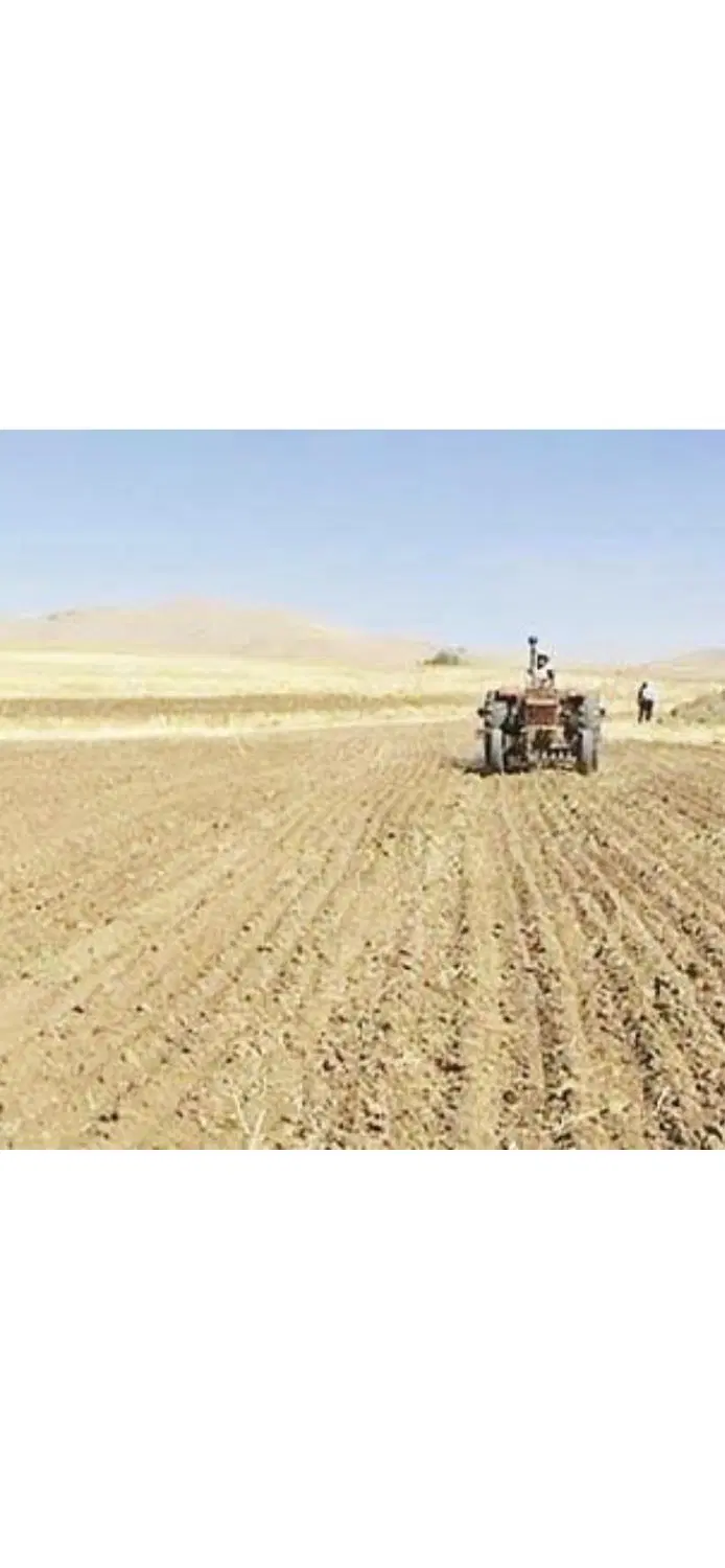 اجاره زمین کشاورزی آبی و دیمه