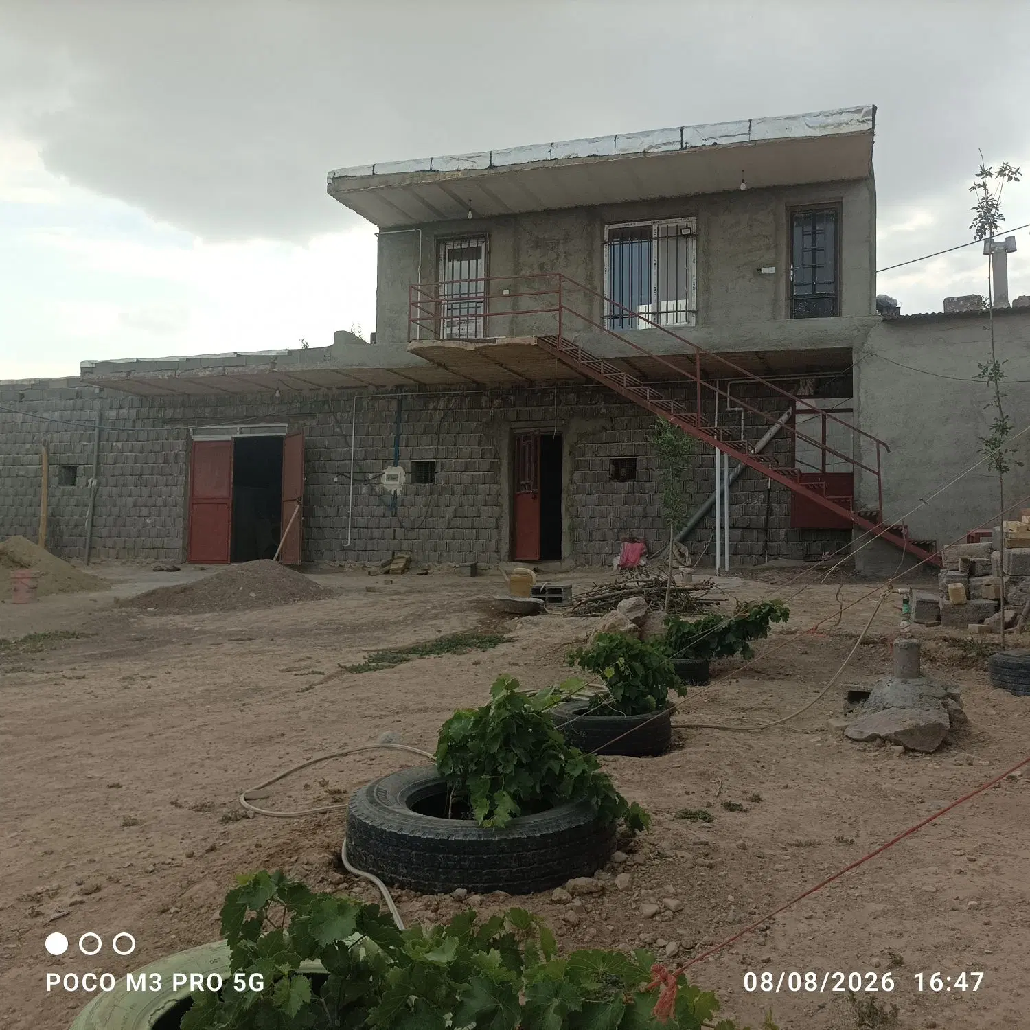 سوله و دامداری