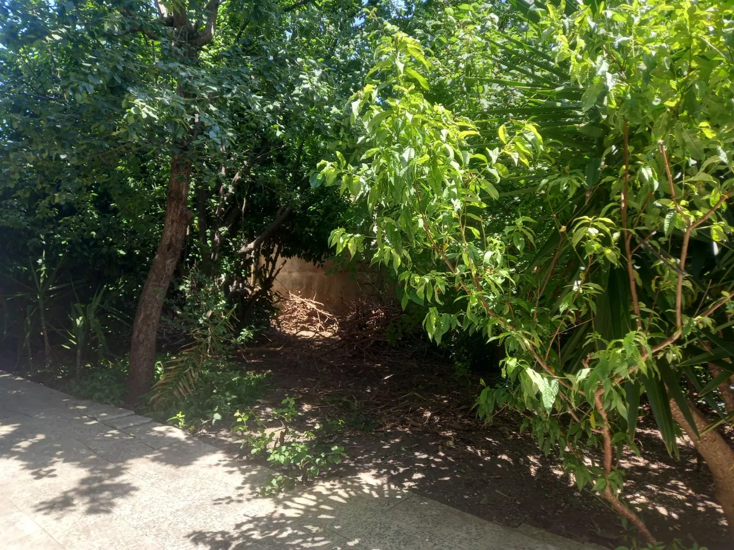 فروش ملک ویلایی در خوش پیک