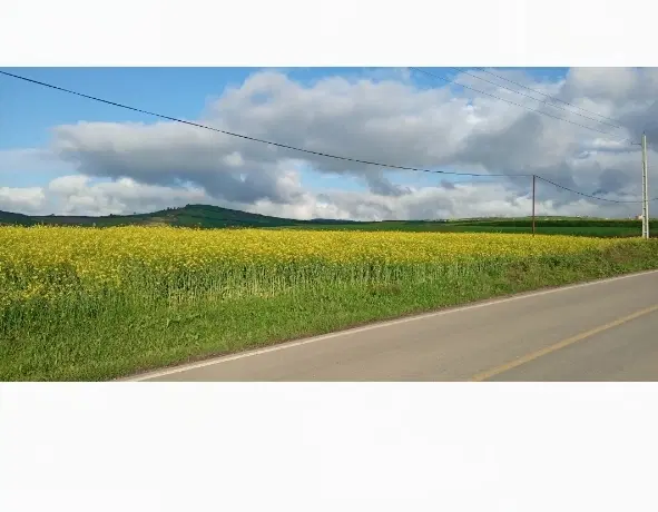 زمین فروشی روستای نوچمن