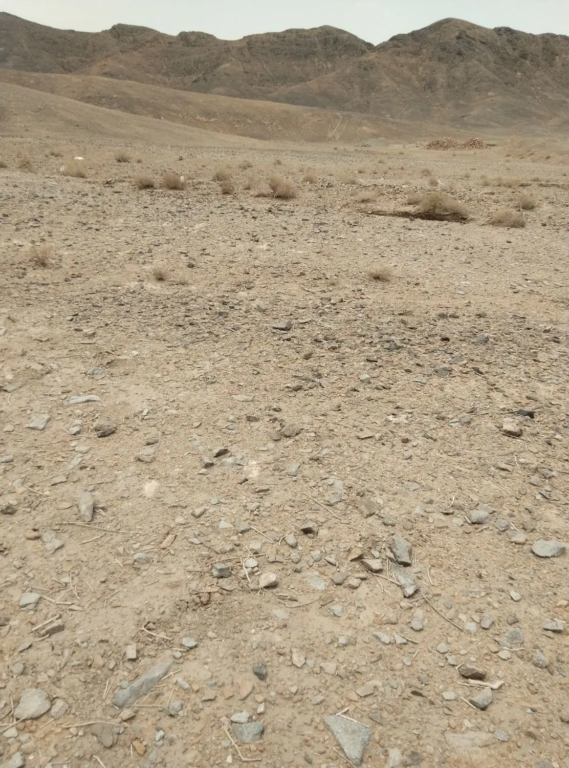 زمین فروشی مسکونی واقع حاجی آباد پوگی