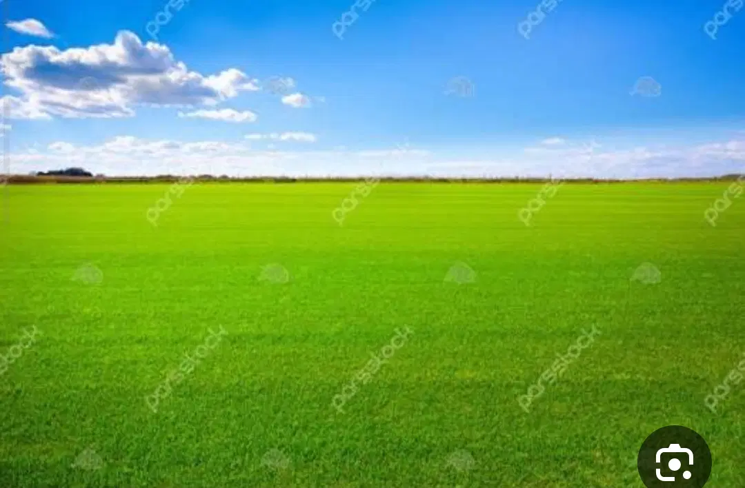 زمین دوره چگنی حسیوند ۲۰۰ متر