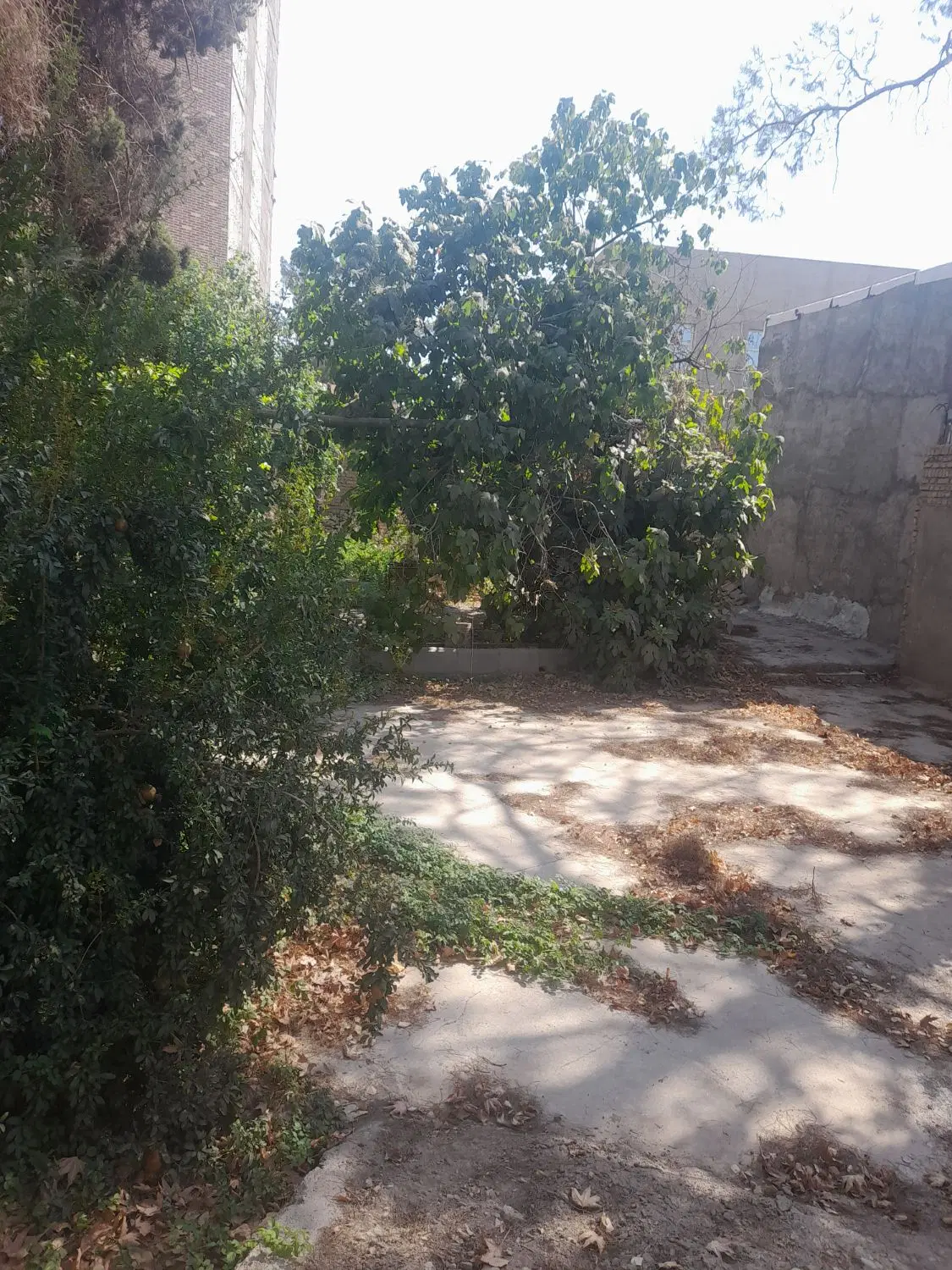 زمین مسکونی