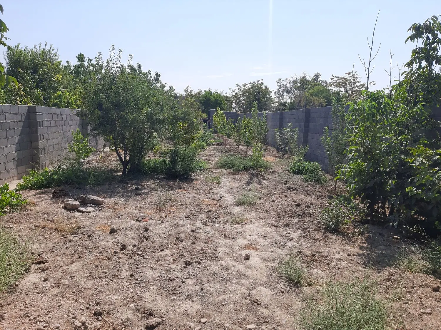 باغچه ۴۴۰ متری