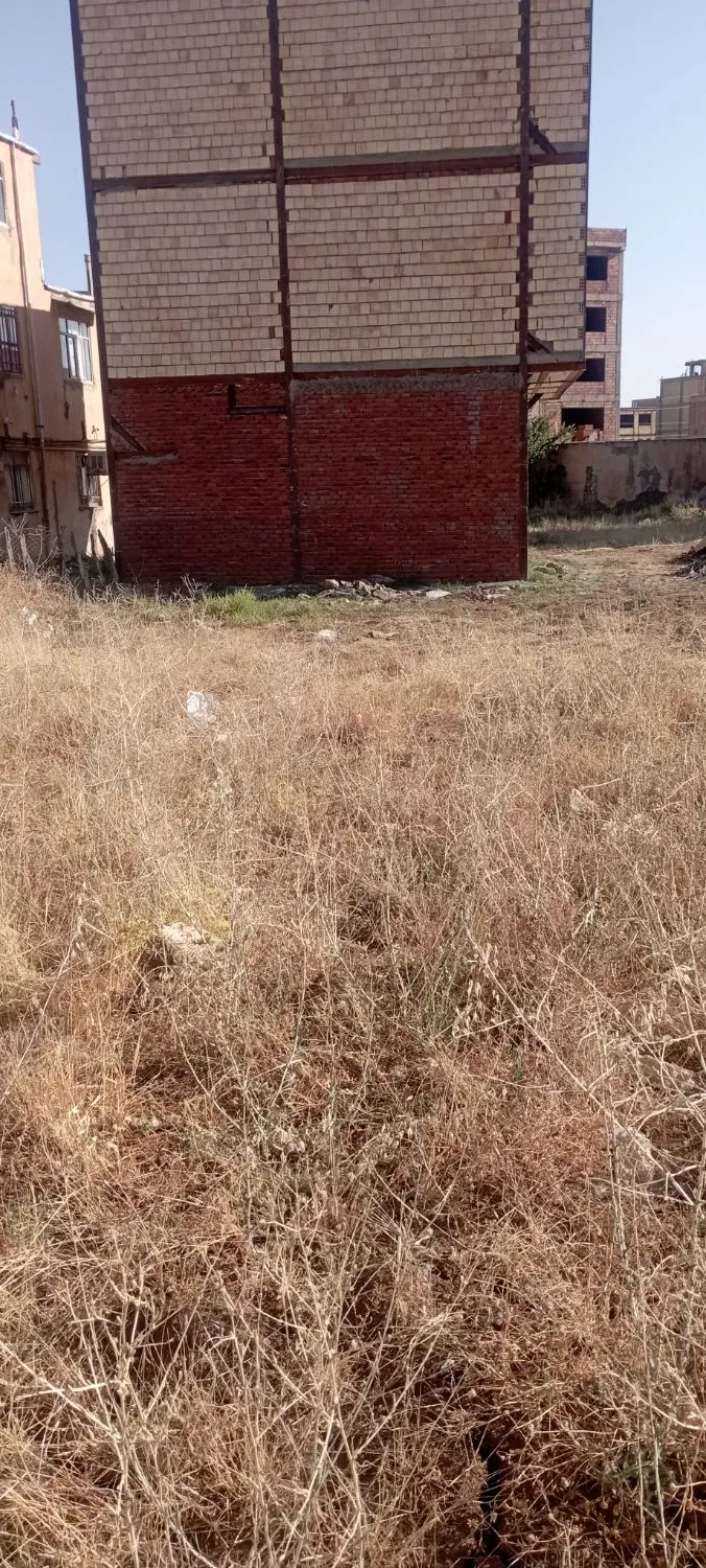 زمین روبروی ایران‌خودرو. پشت کارتن
