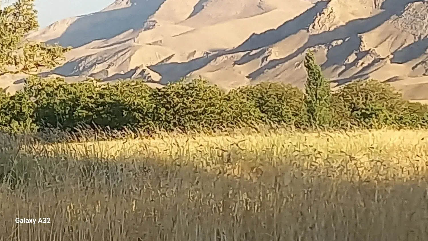 فروش زمین کشاورزی نوبران  ساوه معروف به جولا گدیک