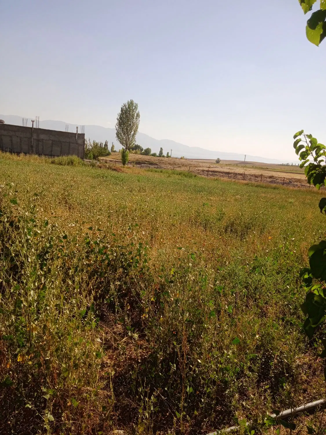 زمین مسکونی داخل محدوده روستای سندان