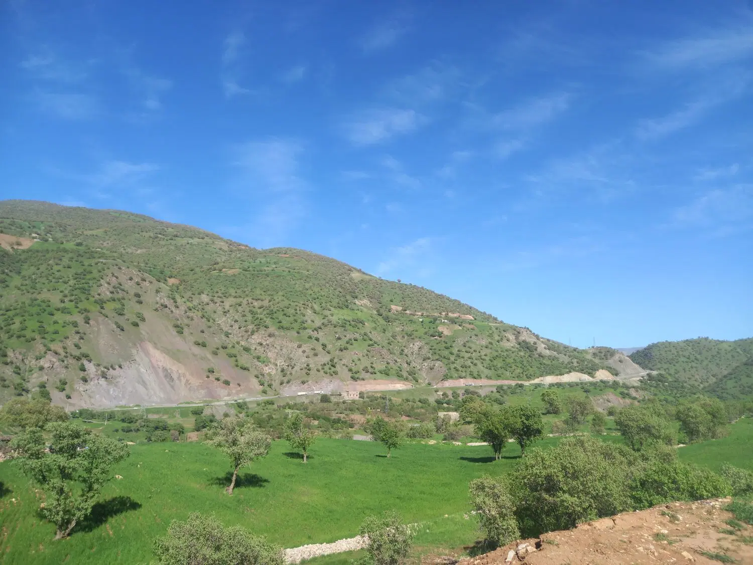 زمین مسکونی موچش