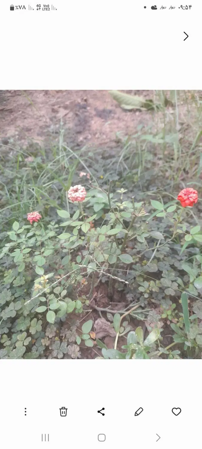 زمین ۳۷۰ متر با ویو بینظیر با سند تک برگ