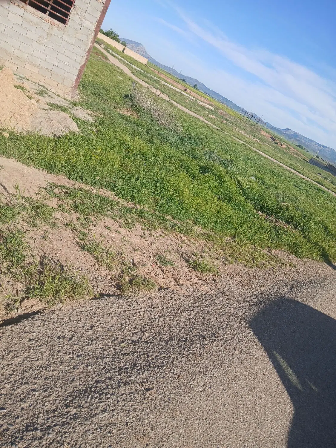 زمین ساختمانی روستای باباقلی