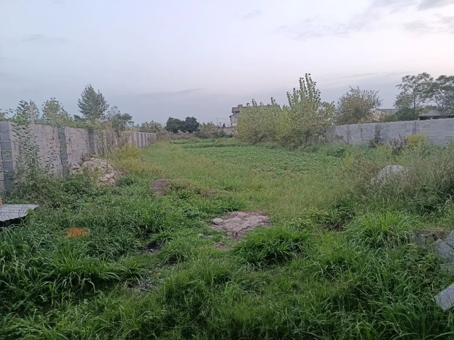 زمین مسکونی سند تک برگ