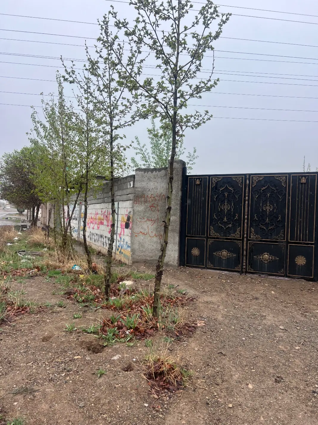 چهاردیواری