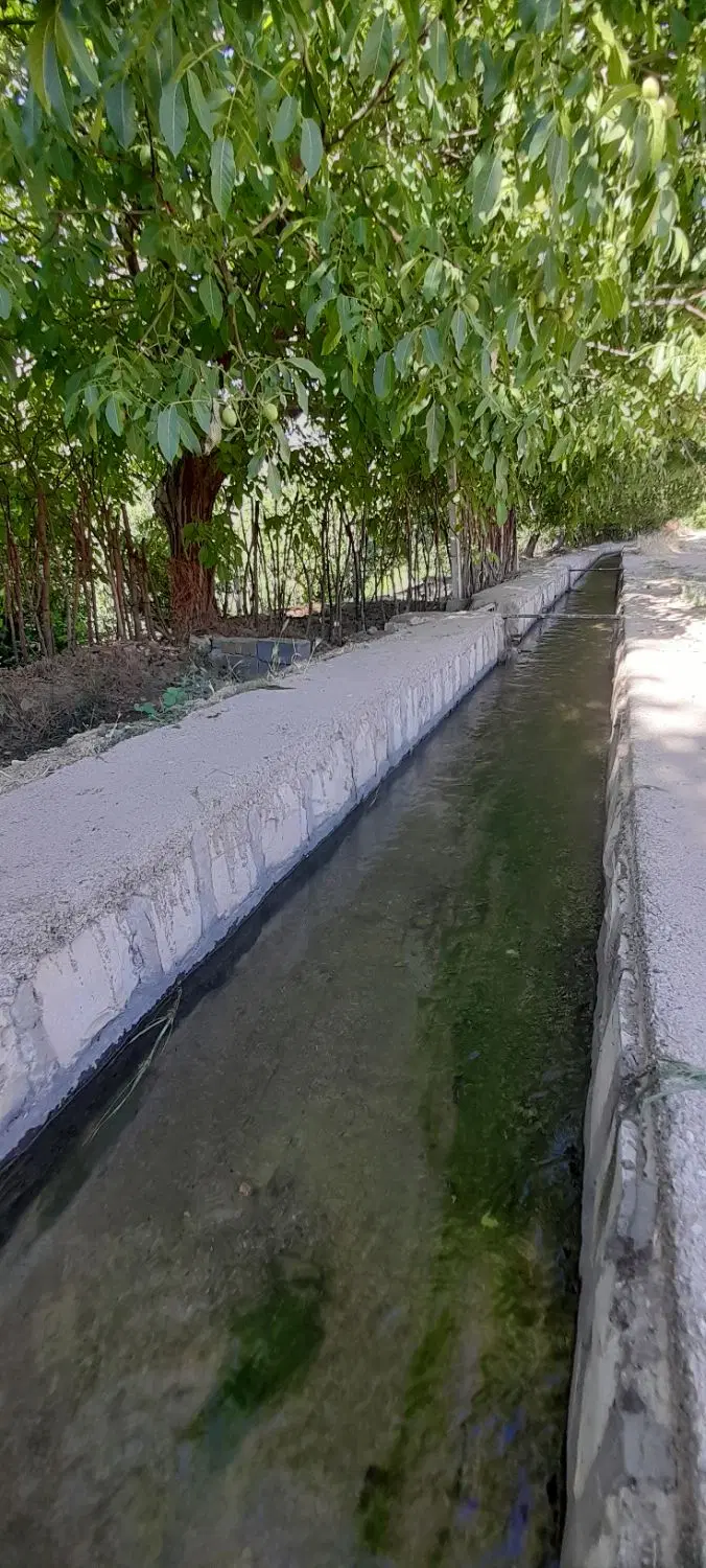 فروش باغ نیم هکتار در شهرستان صحنه روستای بیدسرخ