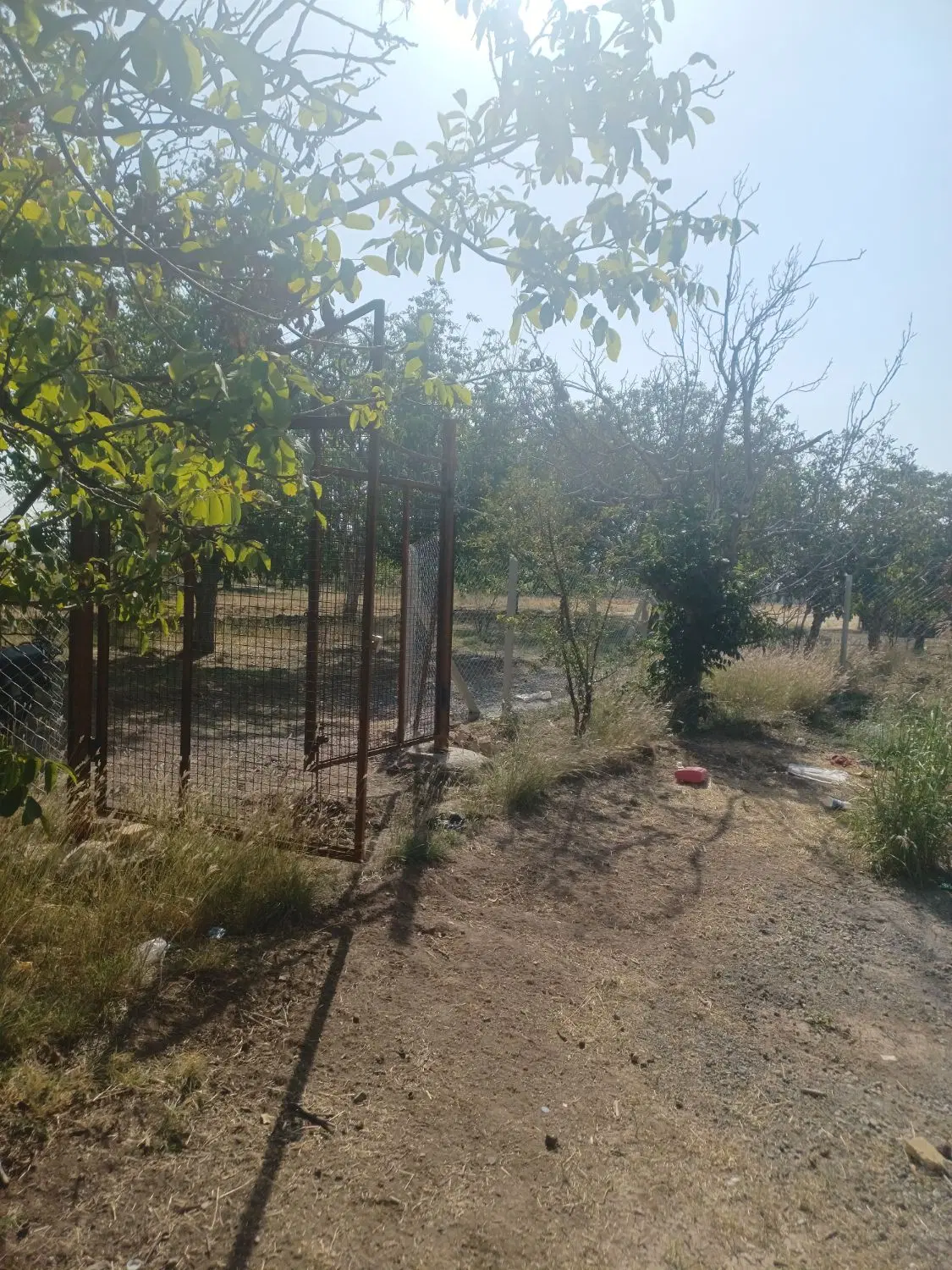 باغ و ویلا کورانه بی نظیر