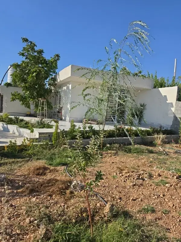 باغ شهری همایجون جاده سپیدان