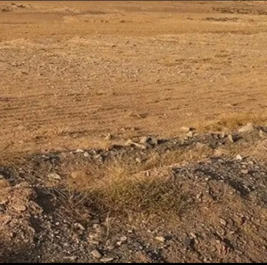 زمین ۶۰ متری با قابلیت تجاری کوچه بدر