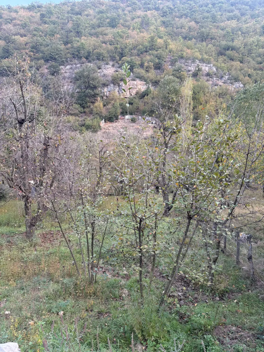 باغ ۷۵۰ متری چالوس کجور