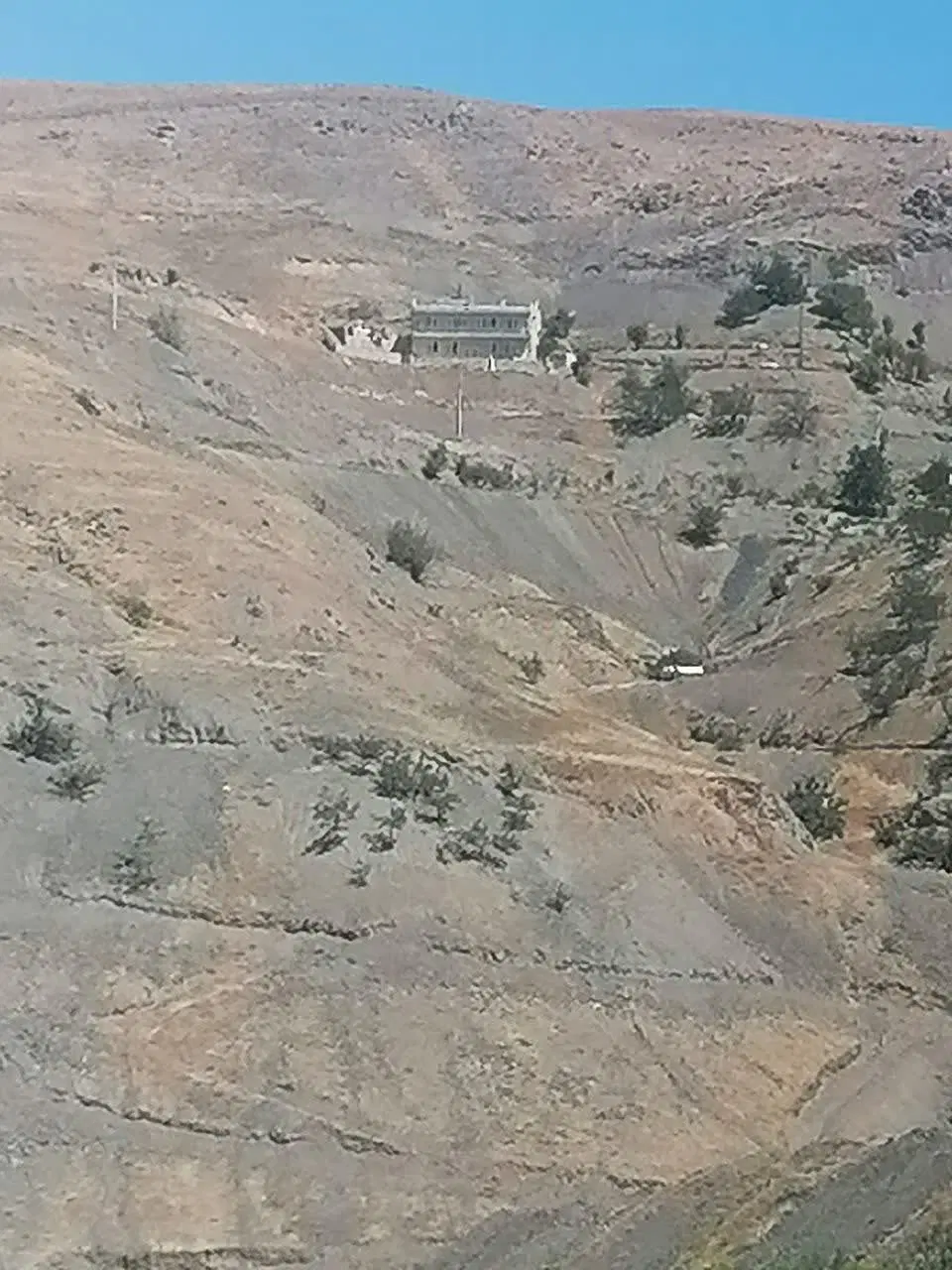 همخونه که ازتنهایی دربیایم