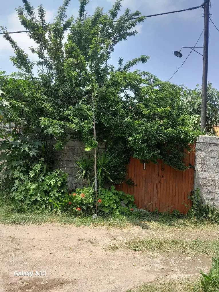 فروش زمین